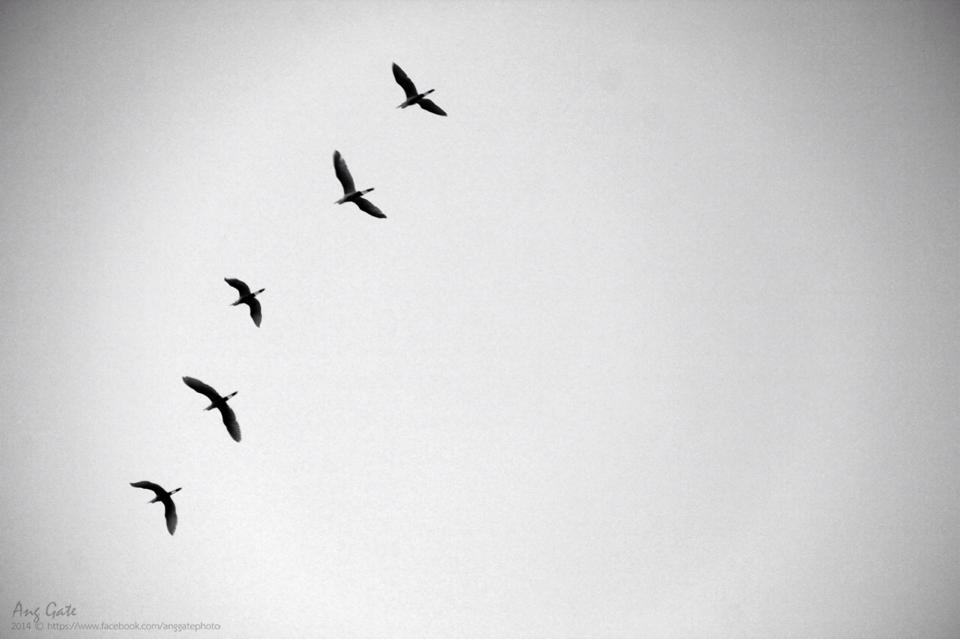 Minimal Style in Black & White 2014 